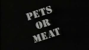 Pets or Meat: The Return to Flint háttérkép