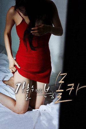 감출 수 없는 본능: 몰카 poszter