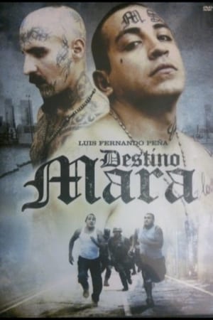 Destino Mara poszter