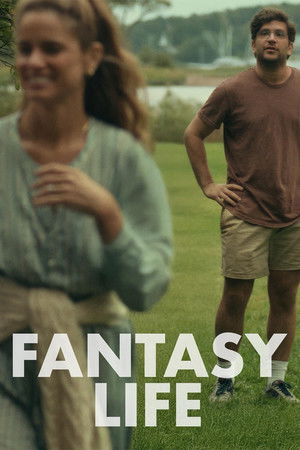 Fantasy Life poszter