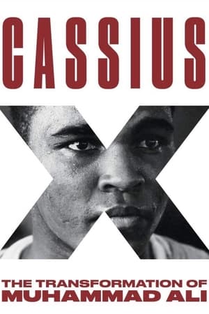 Cassius X: Becoming Ali poszter