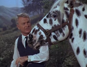 Green Acres Season 1 Ep.29 29. epizód