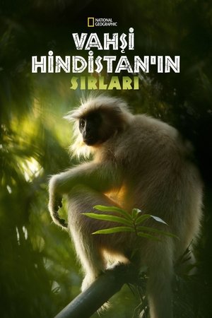 Vad India poszter