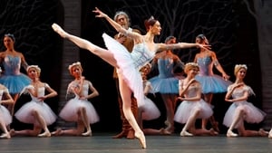 Bolshoi Ballet: Don Quixote háttérkép