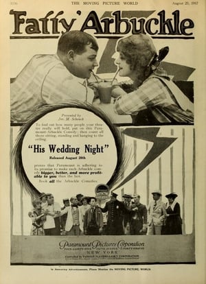 His Wedding Night