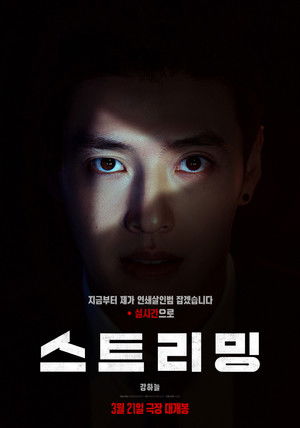 스트리밍 poszter
