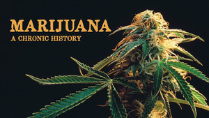 Marijuana: A Chronic History háttérkép