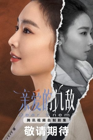 亲爱的仇敌 poszter