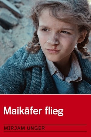 Maikäfer flieg poszter