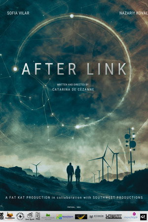 After Link poszter