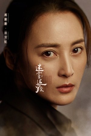 迷雾追踪 poszter