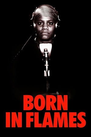 Born in Flames poszter