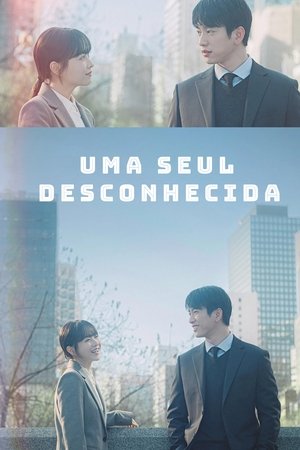 미지의 서울 poszter