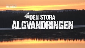 Den stora älgvandringen Specials Ep.6 6. epizód