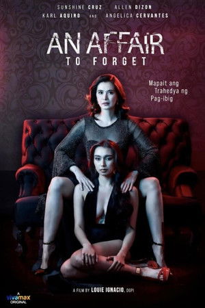 An Affair to Forget poszter