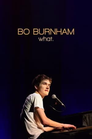 Bo Burnham: What. poszter