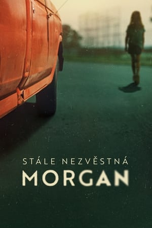 Morgan Nick: Egy eltűnt kislány nyomában poszter