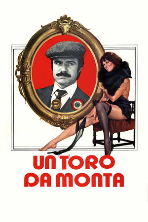 Un toro da monta poszter