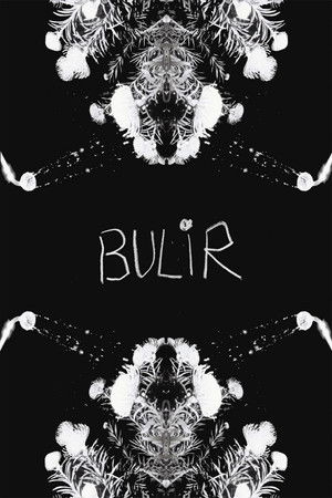BULIR
