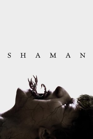 Shaman poszter