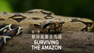 Surviving the Amazon kép