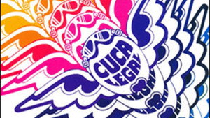 Cuca Legal kép