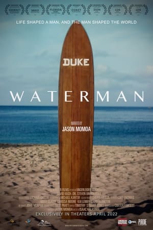 Waterman poszter