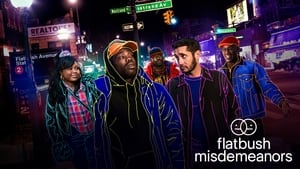 Flatbush Misdemeanors kép