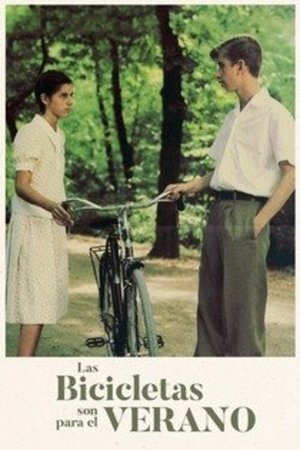 Las bicicletas son para el verano poszter