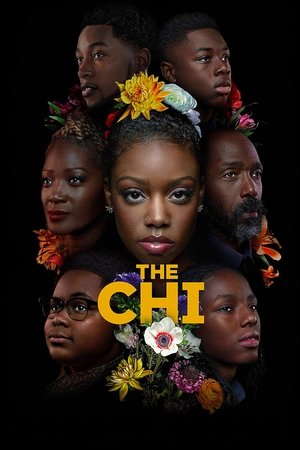 The Chi poszter