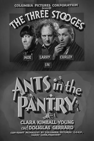 Ants in the Pantry