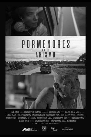 Pormenores en el abismo