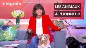 Ça commence aujourd'hui 3. évad Ep.61 61. epizód