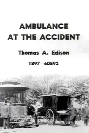 Ambulance at the Accident