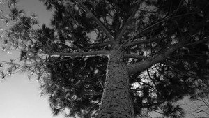 A film about nothing háttérkép