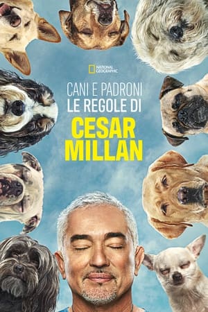 Cesar Millan: Jó gazdi, jó kutya poszter