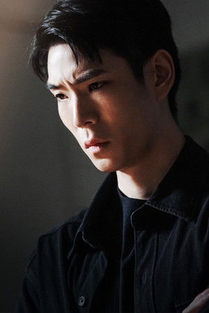 การุณยฆาต poszter
