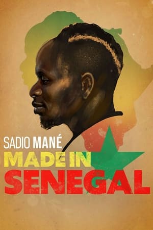 Made in Senegal poszter