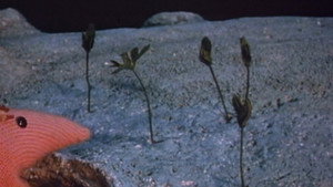 Clangers Season 2 Ep.8 8. epizód