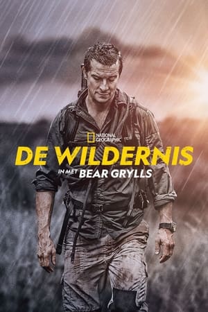 Bear Grylls: Sztárok a vadonban poszter