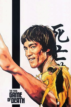 The Final Game of Death poszter