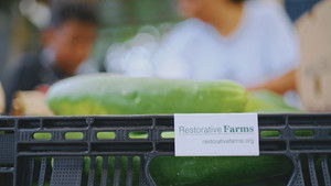 Grow a Better Dallas háttérkép