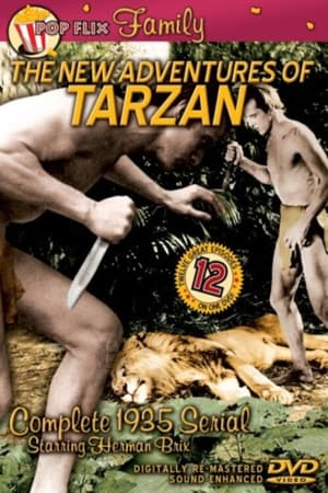 The New Adventures of Tarzan poszter