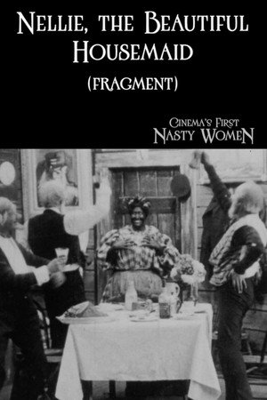 Nellie, the Beautiful Housemaid poszter