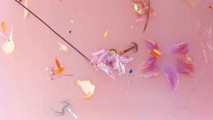 Harry Styles: Behind the Album - The Performances háttérkép