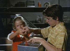 The Brady Bunch 2. évad Ep.13 13. epizód
