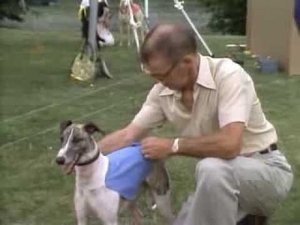 The Littlest Hobo 5. évad Ep.6 6. epizód