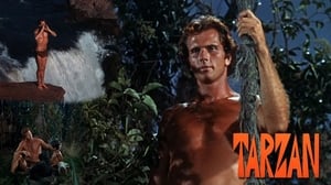 Tarzan kép