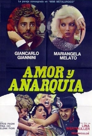 Film d'amore e d'anarchia poszter