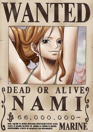 One Piece poszter